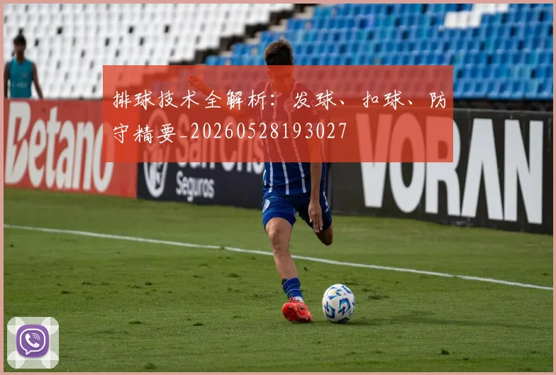 排球技术全解析:发球、扣球、防守精要_20260528193027