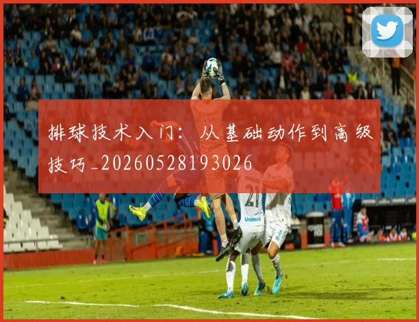 排球技术入门:从基础动作到高级技巧_20260528193026