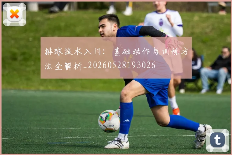 排球技术入门：基础动作与训练方法全解析_20260528193026